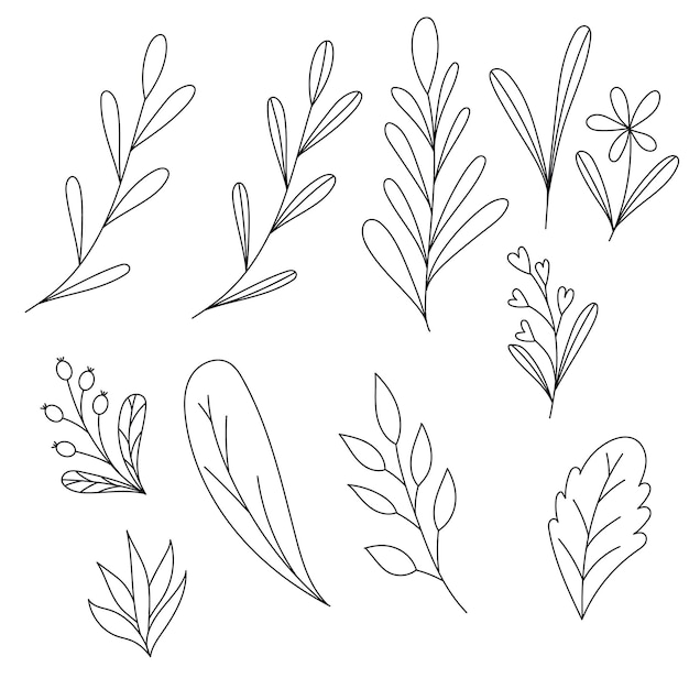 Doodle set different leaves flowers