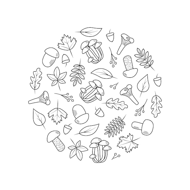 Doodle set van boombladeren en paddestoelen herfst concept vectorillustratie