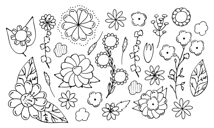 Vector doodle set van contour bloemen florale botanische kleurstof met de hand getekend zwarte en witte knoppen met bladeren