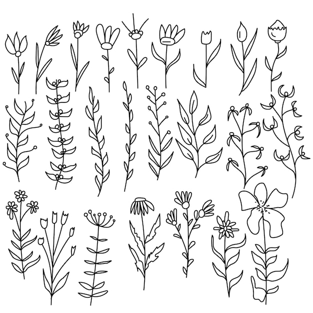 野の花と派手な花の落書きセットは、デザイン用の植物の輪郭を描きます