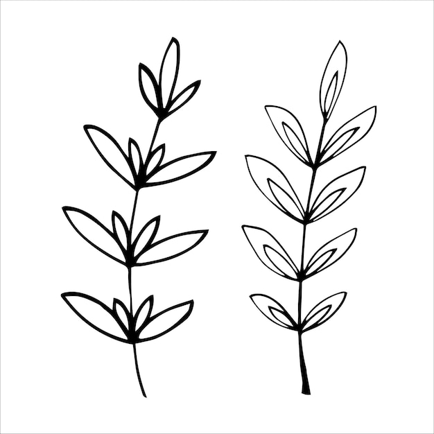 Vector doodle set with flower elements in one line style