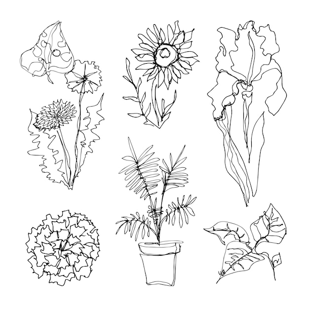 Vettore doodle set con elementi floreali