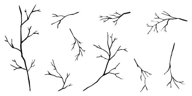 Doodle sagome del ramo di alberi isolati su bianco background.vector illustrazione.