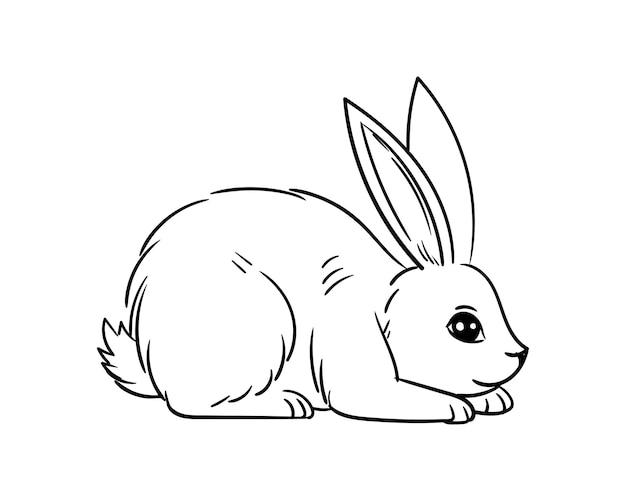 Doodle sketch Rabbit crouched on the ground. Frightened rabbit vector illustration isolated on white