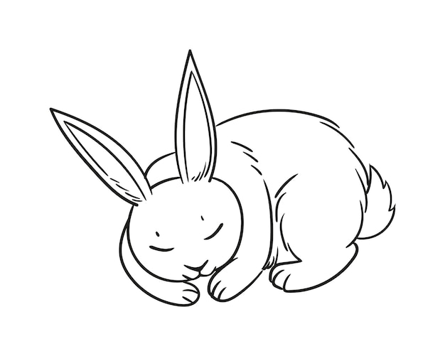 Vector doodle sketch of a sleeping rabbit. cute rabbit sleeping vector illustration isolated on white