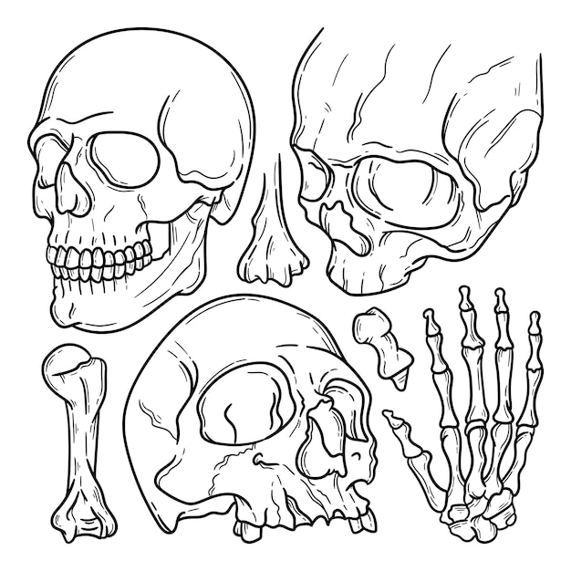 Vector doodle of skull and bone