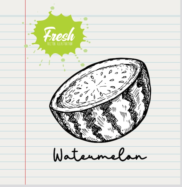 Doodle Slice of watermelon on white paper background