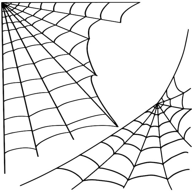 白いハロウィーンのシンボルスケッチベクトルストックイラストに分離された落書きクモの巣アイコン