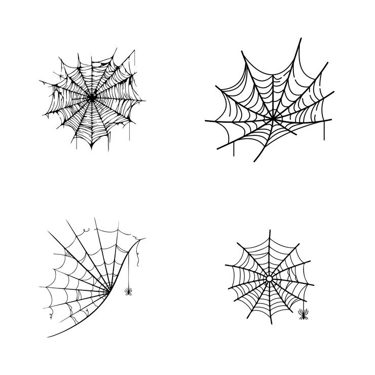 Vector doodle spider web icon on white background