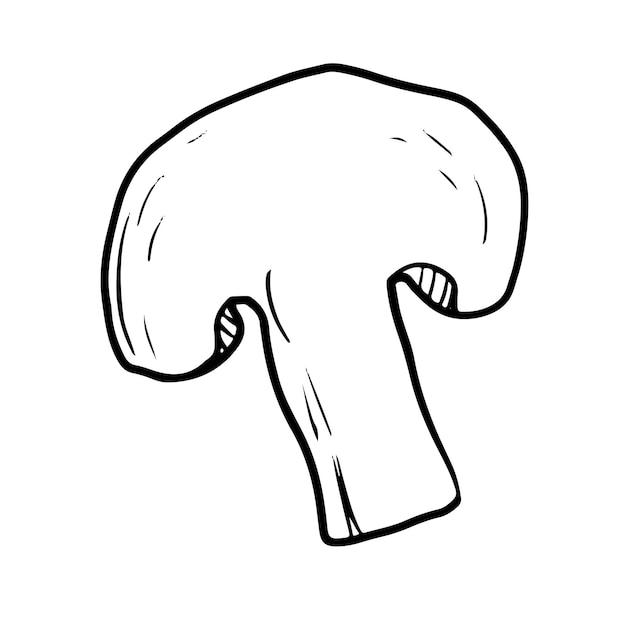 Doodle style champignon mushroom on isolated white background. Forest edible mushroom. Vector illustration.