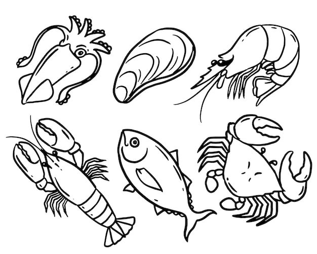 Vector doodle style fresh seafood drawing set