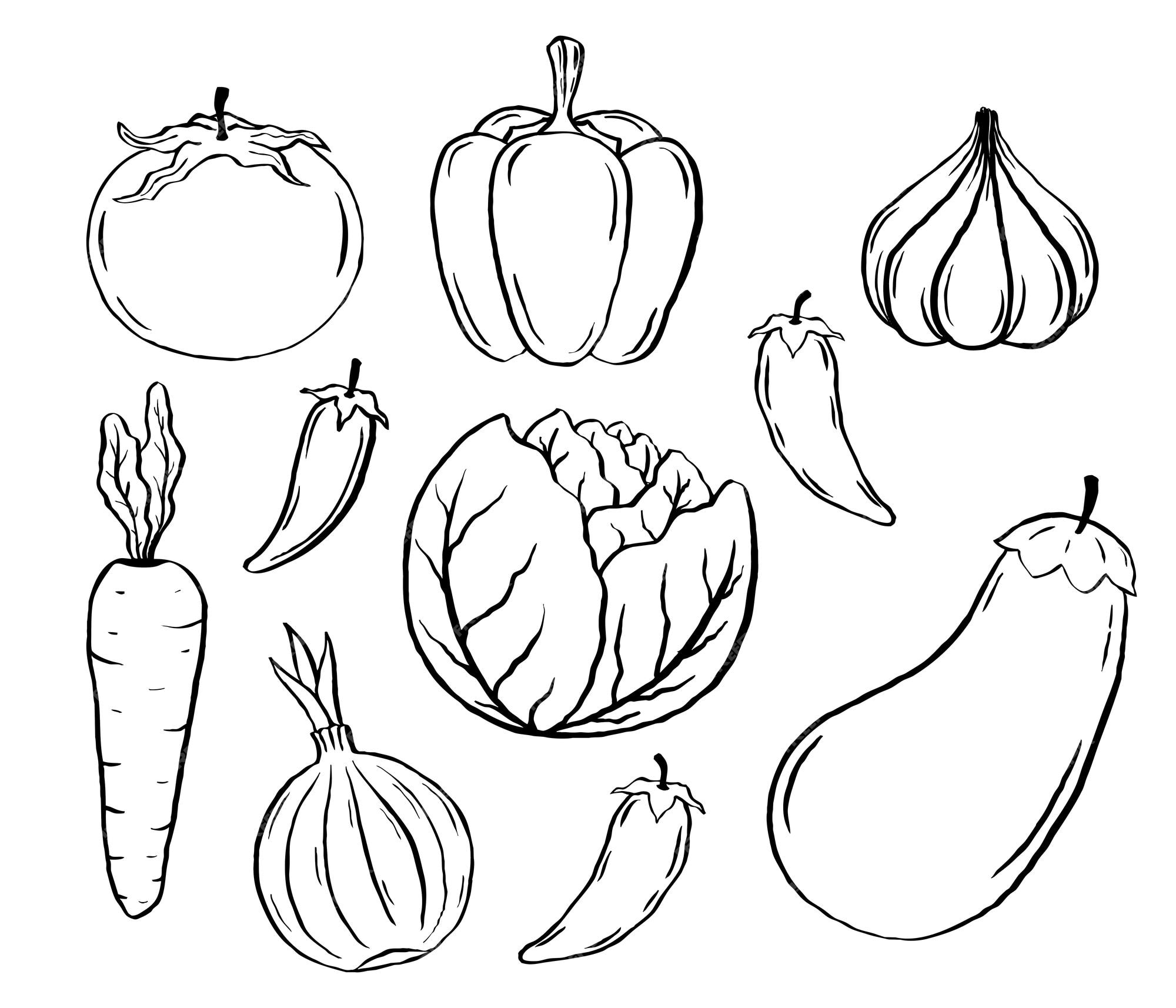 Premium Vector Doodle Style Vegetables Sketch Vector