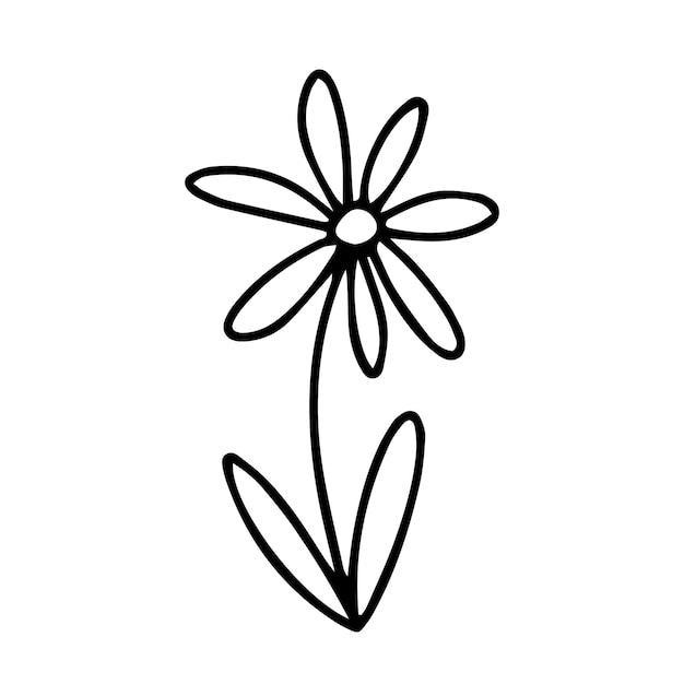 Doodle summer flower illustration. Vector daisy flower doodle