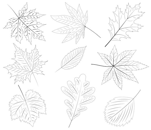 Doodle tree leaf set sketch isolated