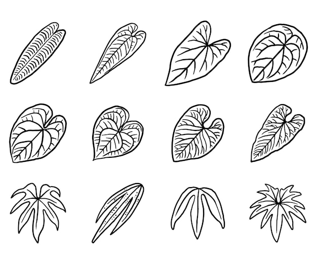 ベクトル 落書き熱帯植物の葉のアイコン