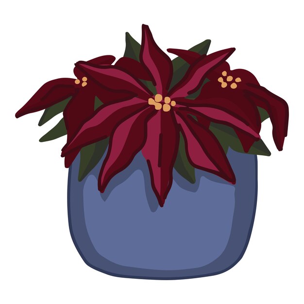 Vector doodle van bloeiende poinsettia in pot cartoon clipart van kersthuisplant met de hand getekende vectorillustratie geïsoleerd op wit