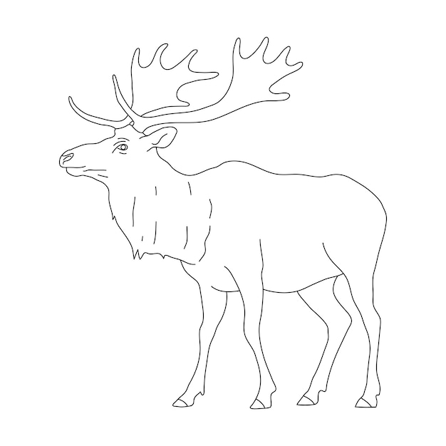 Vector doodle van elk hand getrokken vectorillustratie