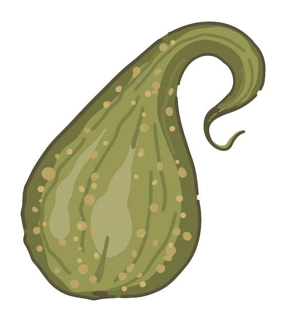 Vettore doodle di zucca vegetale illustrazione vettoriale in stile cartone animato clipart del raccolto della stagione autunnale isolato su sfondo bianco