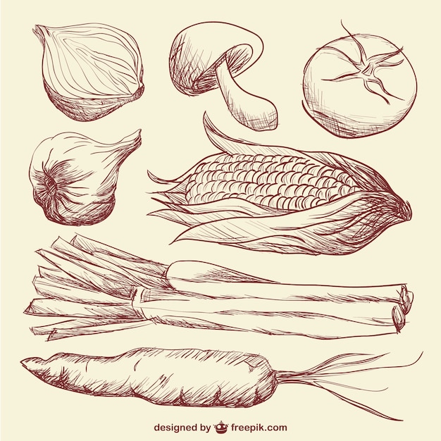 Vector doodle vegetables art