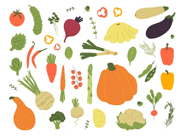 Vector doodle vegetables colorful raw vegetable hand drawn food flat beet carrot pumpkin tomato onion fresh agriculture vegetarian classy vector set