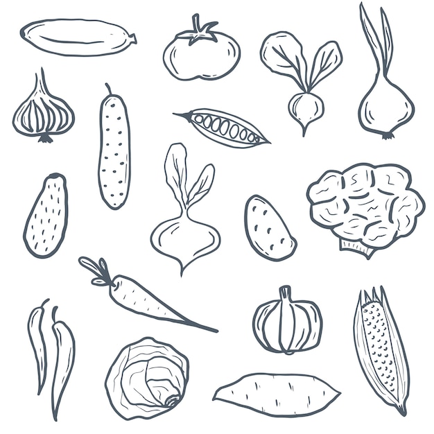 Doodle vegetables hand drawn set of veggies tomato broccolicorn avocado onion carrot potato pumpkin pepper yam raddish cucumber cabbageElements for print background kitchen towels