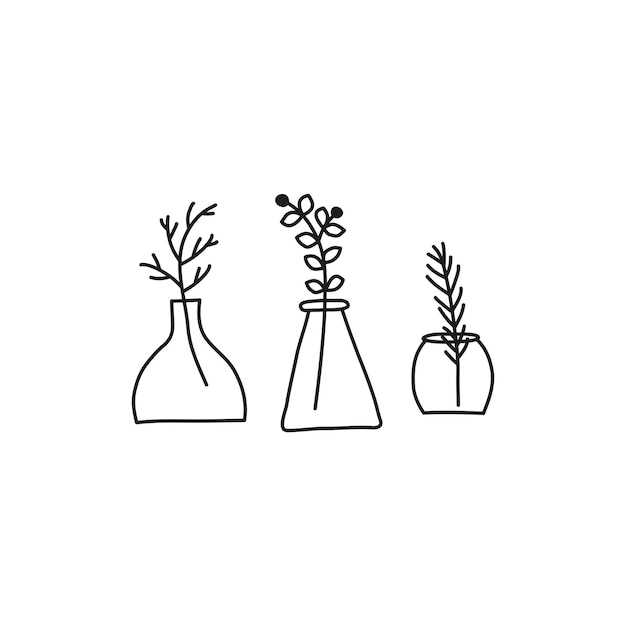 Doodle wild plants herbs twigs berries in vases