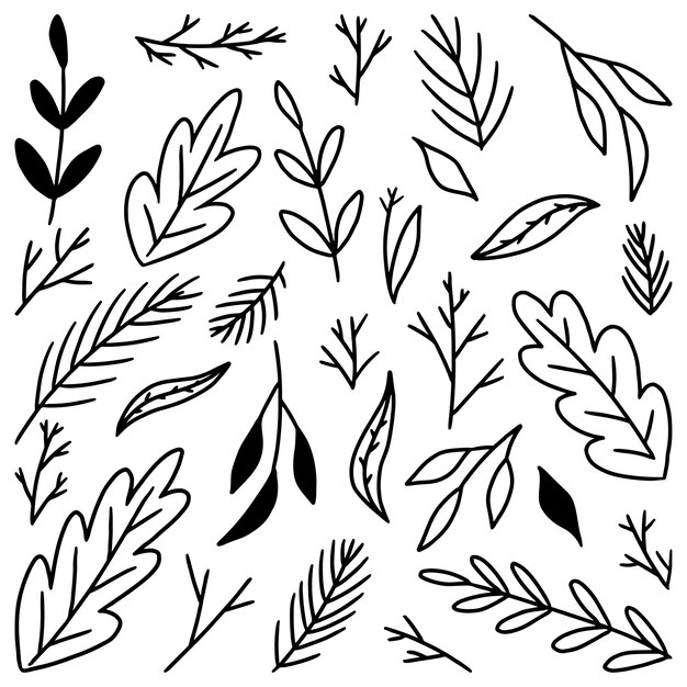 Vector doodles collection of abstract leaves. hand drawn vector illustrations. black outline vintage drawings isolated on white. simple contour botanical elements for design.