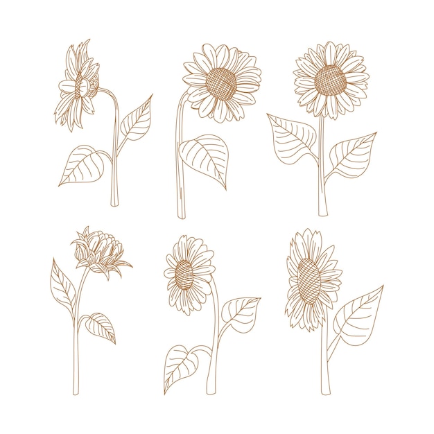 Vector doodles herbs and flowers set of handdrawn flowers floral set of wildflowers and herbs botanical