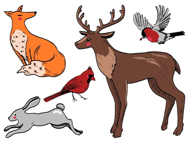 Doodles set winter dieren. Herten, haas, vos, goudvink, noordelijke kardinaal. Hand getekende vector illustraties collectie. Gekleurde elementen geïsoleerd op wit voor ontwerp, decor, prenten, stickers, kaarten.