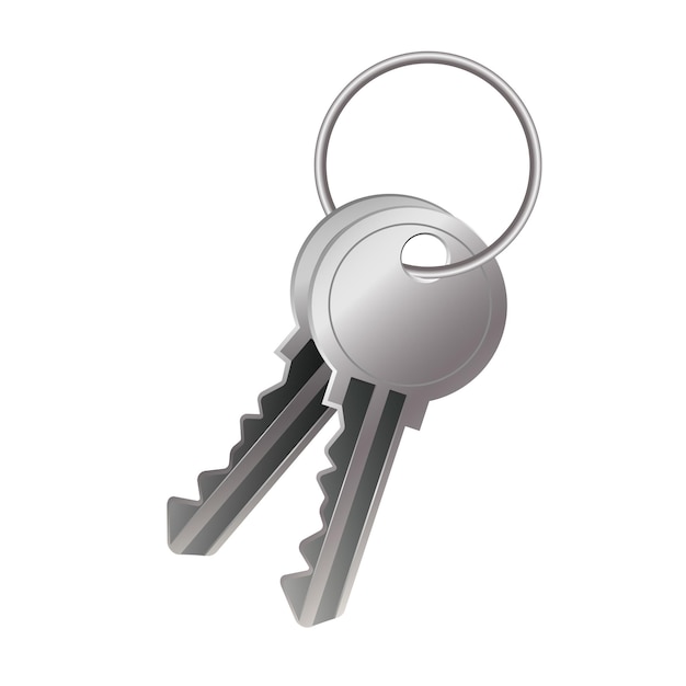 Door or padlock silver metal keys on key ring vector illustration key from house Real estate