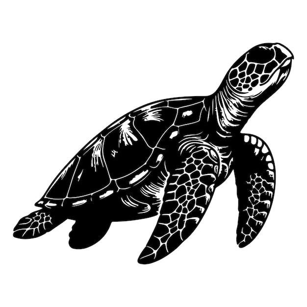 doorlopende een zwarte lijn handtekening schildpad zeedier doodle vector illustratie op wit