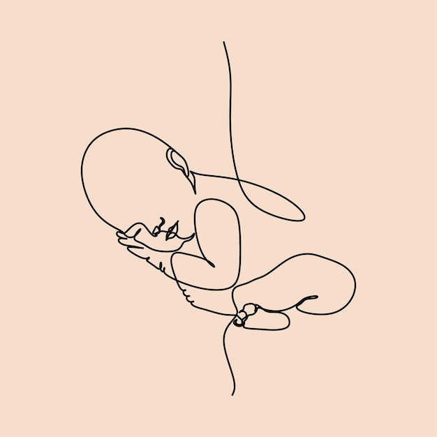 Doorlopende lijntekening Baby in de baarmoeder op de witte achtergrond Vectorillustratie