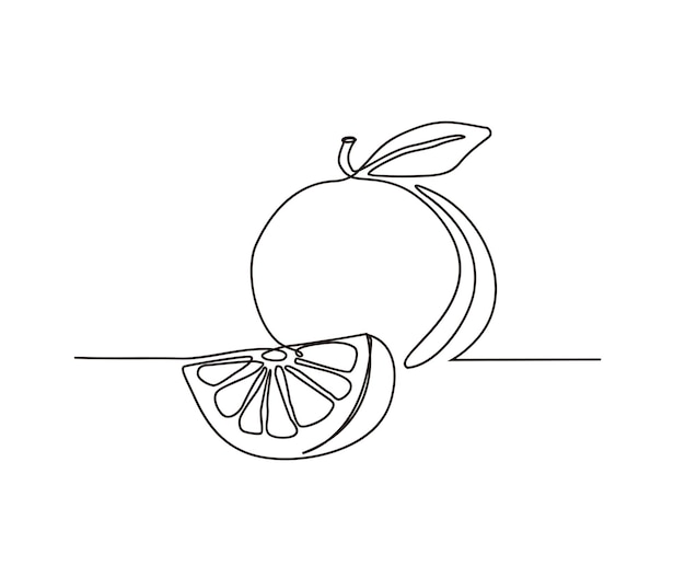 Doorlopende lijntekening van oranje fruit, enkellijns oranje fruit en segmentvectorontwerp Handgetekende minimalismestijl