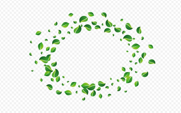 Doorzichtige achtergrond van de natuurvector van het moerasblad