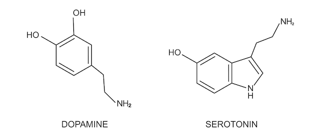 Vettore icone dei composti della dopamina e della serotonina struttura molecolare chimica degli ormoni felici o di benessere