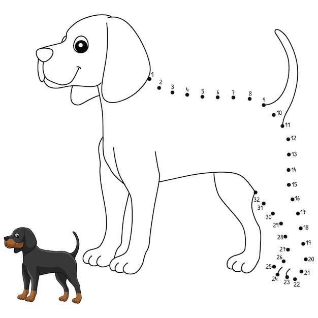 Vettore unisci i puntini alla pagina di colorazione isolata del cane coonhound