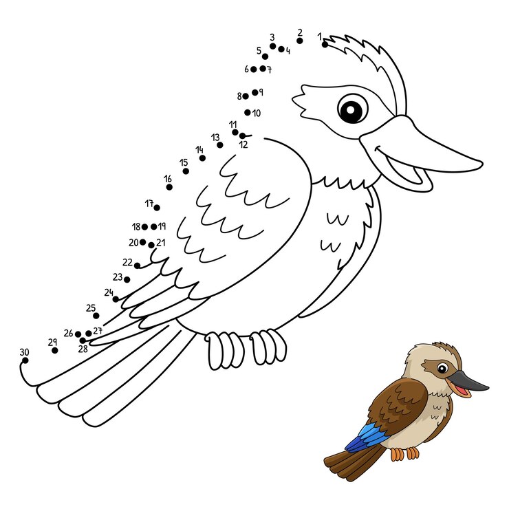 वेक्टर dot to dot kookaburra animal coloring page