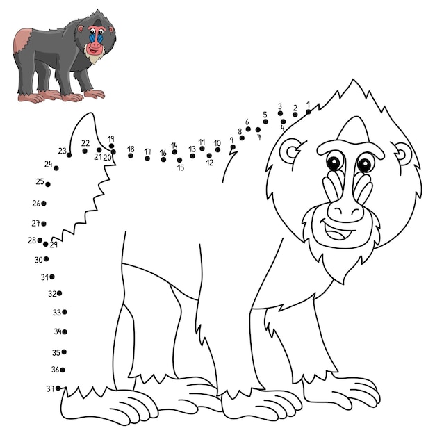 Dot to Dot Mandrill Animal Isolated Coloring Page