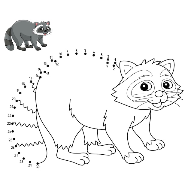 Dot to Dot Racoon Animal Isolated Coloring Page