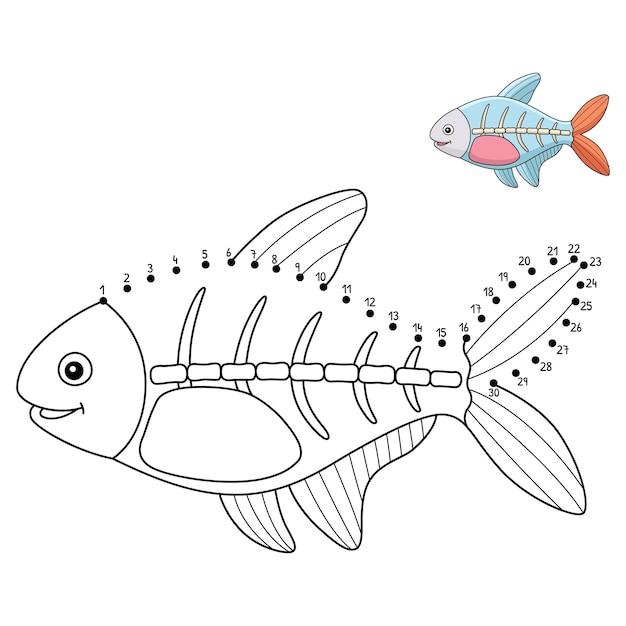 Dot to Dot Xray Fish Animal Isolated Coloring