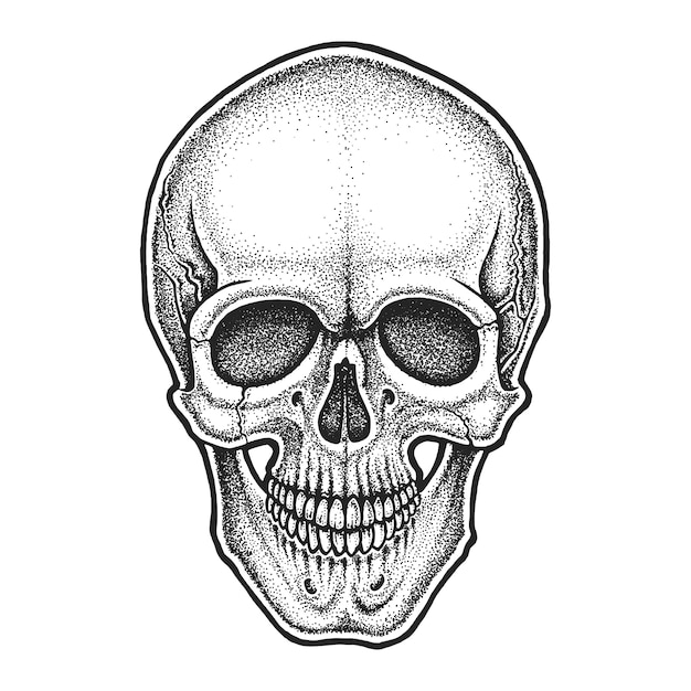 Vector dotwork stijl schedel illustratie