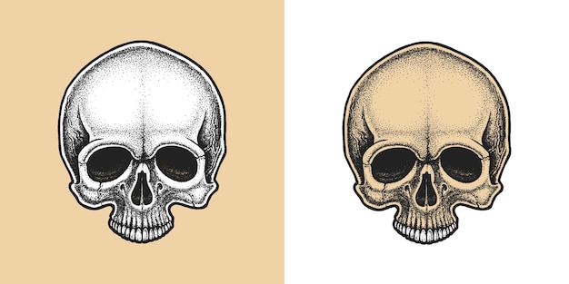 Vector dotwork styled skull.