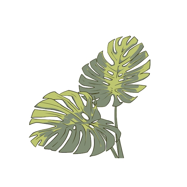 Vector double monstera leaf with retro style