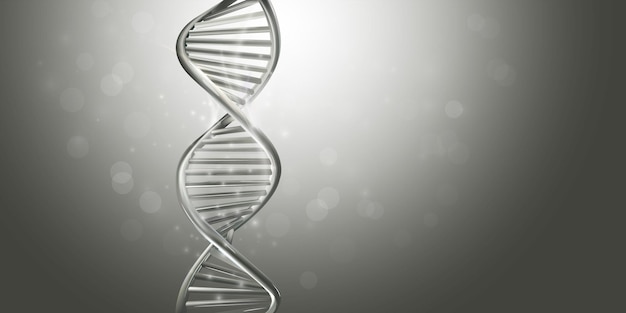 Doublestranded helix dna model in gray color