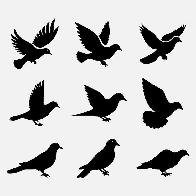 Vector dove birds animal flat icon silhouette logo collection set