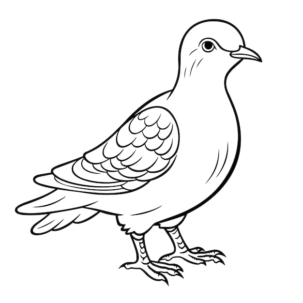 dove coloring pages vector animals