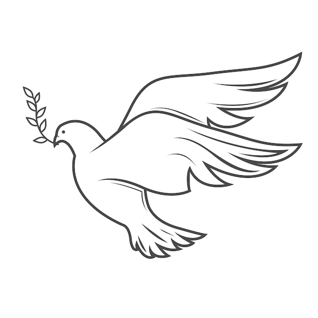 좋은 소식 벡터의 비둘기 상징의 부리 윤곽에 올리브 나뭇가지와 함께 날아가는 평화의 비둘기