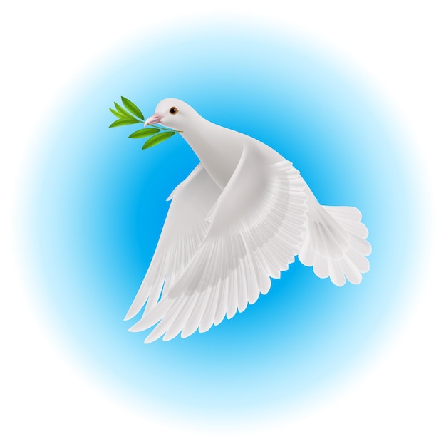 Dove of peace