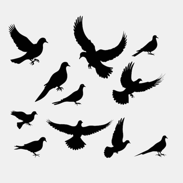 Dove silhouette bird logo vector design