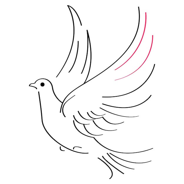 Vector dove sketch